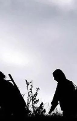 TSK, hainleri tarumar etti: 93 terörist öldürüldü