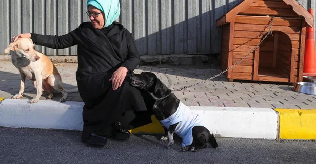 Emine Erdoğan engelli köpek 'Leblebi'yi sahiplendi
