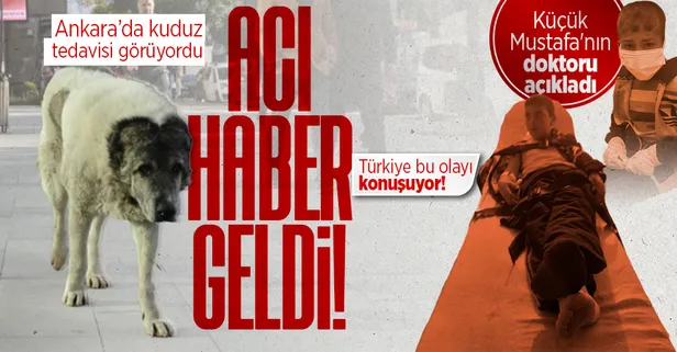 Son dakika: Bitlis'te köpek ısırması sonrası kuduz olan 10 yaşındaki Mustafa Erçetin hayatını kaybetti