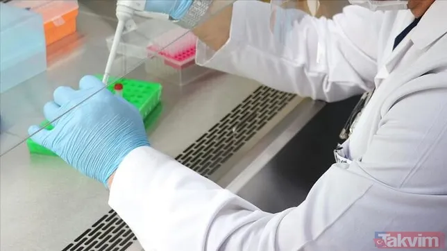 SON DAKİKA: Koronavirüs Bilim Kurulu'nun önerisi ortaya çıktı! İşte okullar ve kafeler için verilen tarih