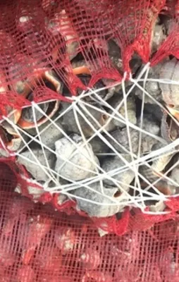 Türkiye'den dünyaya gönderiliyor