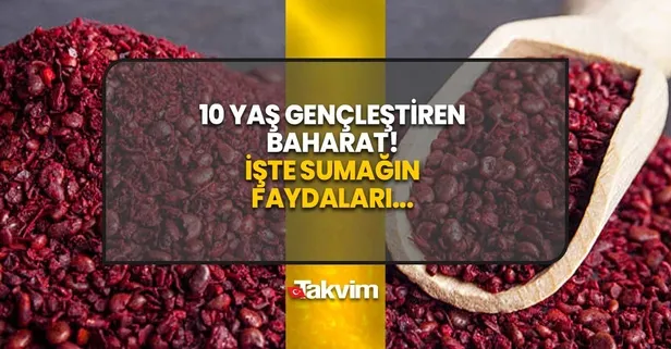 10 yaş gençleştiren baharat! Kalp ve damar rahatsızlığı için birebir! Her derde deva sumak...