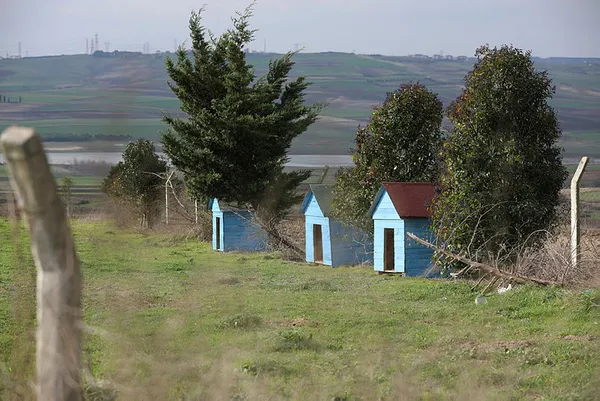 THY kabin memurundan örnek davranış!-3