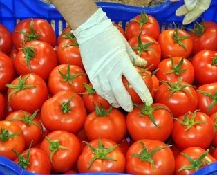 Rusya’ya niyet Belarus’a kısmet