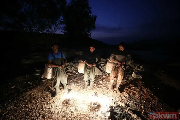 Günlük 900 lira kazanıyorlar! Türkiye'nin birçok ilinden toplanan kurbağalar Avrupa'ya ihraç ediliyor - 23