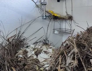 Sakarya Karasu’da 2 yıldır boş duran evin penceresinden giren kargalar banyoyu odun parçalarıyla doldurdu
