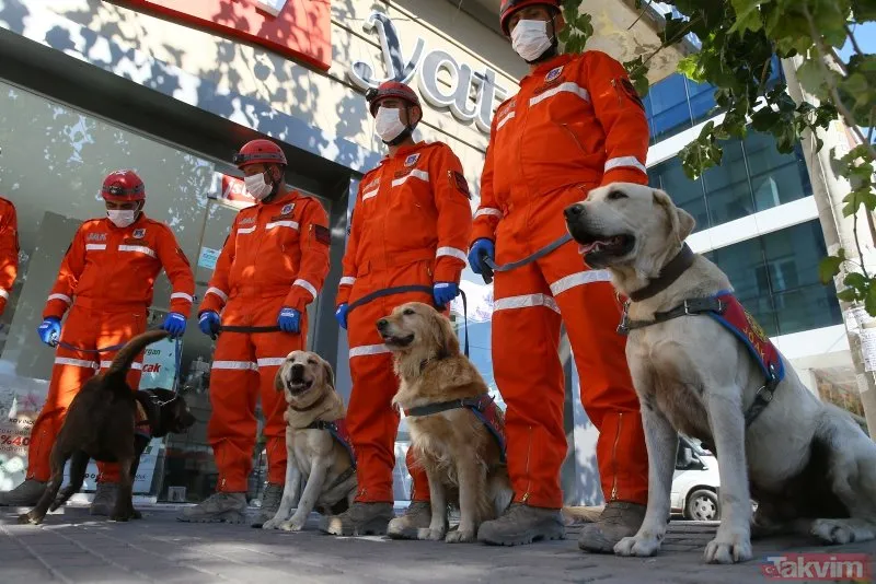 Jandarma Arama Kurtarma ekibindeki köpekler, hassas burunlarıyla enkaz