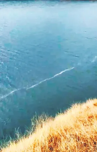 Depremin yüzey kırığının izi, Karakaya Baraj Gölü'nde görüldü