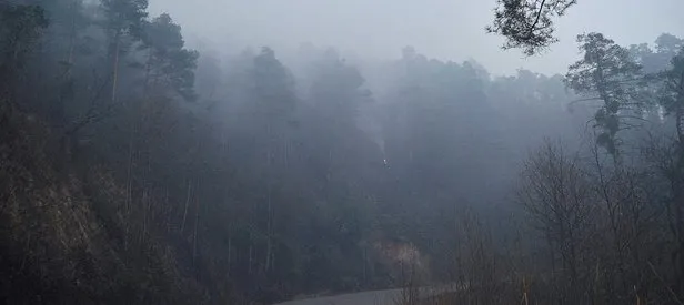 Bakandan Sürmene’deki yangına ilişkin açıklama