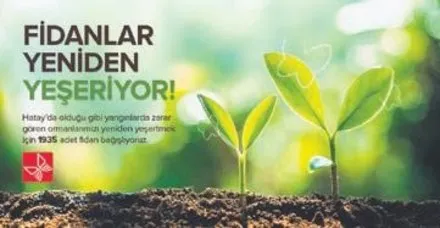 Kelebek Haberleri Son Dakika Kelebek Gelismeleri