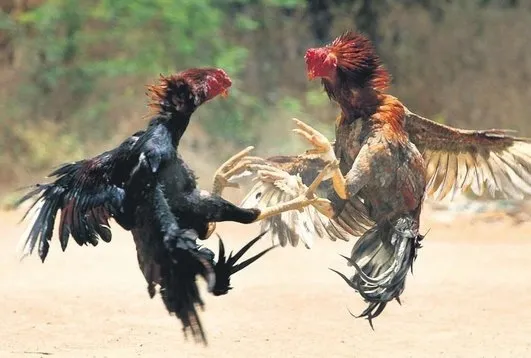 İstanbul’da şaşkınlık veren olay!
