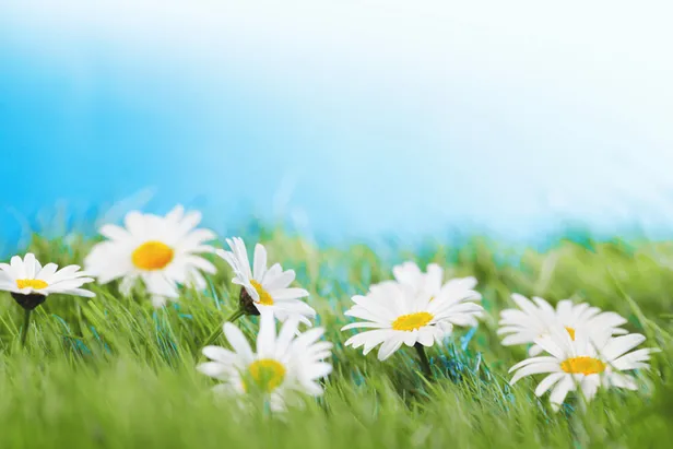 İlk cemre havaya düştü! İkinci cemre ne zaman düşecek? 2019 cümre düşme tarihleri-1