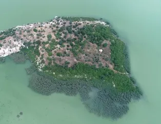 Bursa'da sahibinden satılık 45 dönümlük ada! Talipleri gittikçe artıyor...