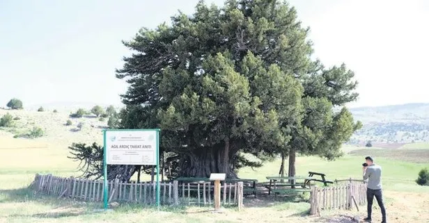 zamana meydan okuyor