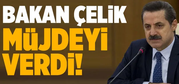Bakan Çelik müjdeyi verdi