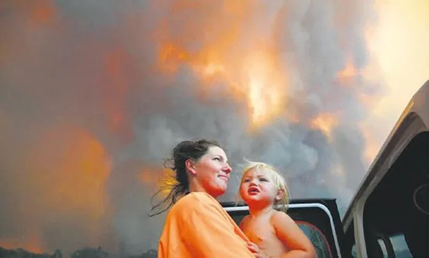 Avustralya'da korkunç bilanço! 23 kişi öldü, 480 milyon hayvan telef oldu-1