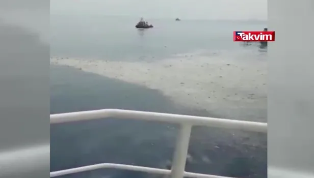 Endonezya'da yolcu uçağı denize düştü