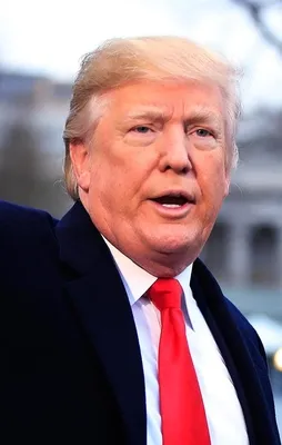 ABD Başkanı Trump'tan Suriye açıklaması