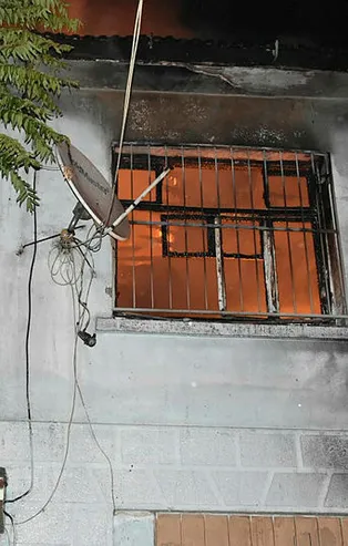 İzmir'de yangın paniği! 25 papağan telef oldu