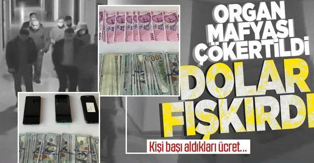 Son dakika: İstanbul’da organ nakli şebekesine operasyon! Kişi başı 45 bin dolar almışlar