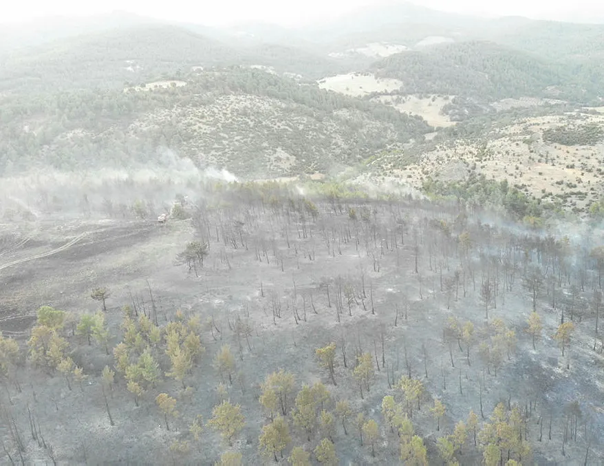 2,5 hektar ormanlık alan yandı