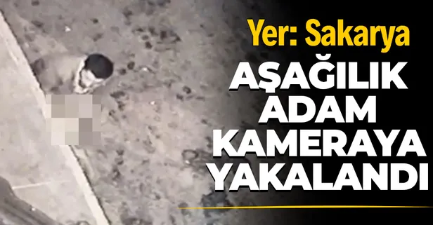 SON DAKİKA: Sakarya'da iğrenç olay: Köpeğe taciz güvenlik kamerasında