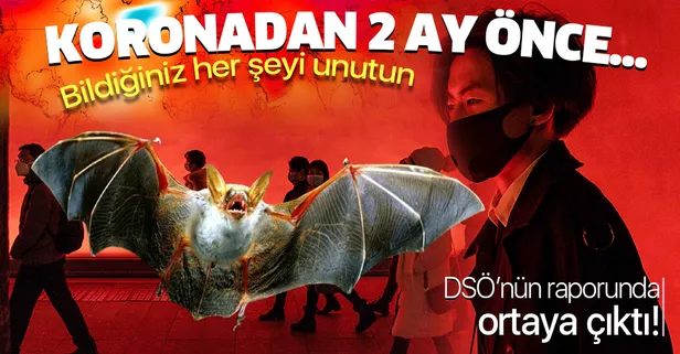 Bildiğiniz her şeyi unutun! Koronavirüs çıkmadan 2 ay önce... DSÖ raporunda şoke eden detay