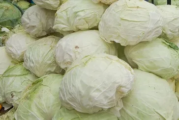 Güzellik sırrı lahana