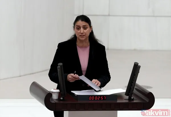 TBMM'de kadın vekillerin şıklık yarışı! HDP'li isimden sinsi mesaj: Meral Danış Beştaş yılan kolyesi taktı - 22