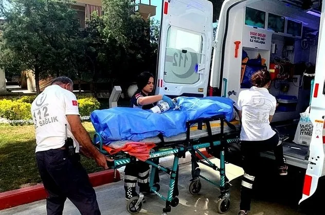 Manisa'da feci ölüm! Beslediği arılar...