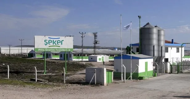Şeker Piliç'in sahiplerine FETÖ'den gözaltı