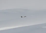 Bitliste 11 askerin şehit olduğu helikopter kazası bölgesinde inceleme! İşte kaza bölgesinden son dakika görüntüleri