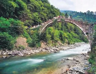 Yeşilin binbir tonu