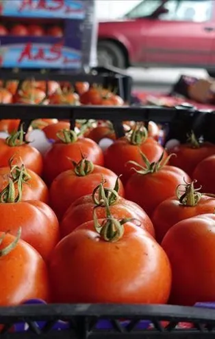 Türk sebzesine talep yükseldi