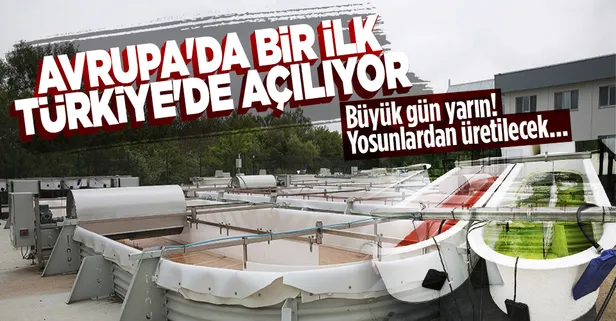 Yosunlardan jet yakıtı üretecek tesis Türkiye'de açılıyor! Avrupa'da bir ilk olacak
