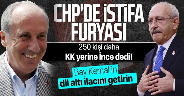 Son dakika: CHP’de istifa krizi büyüyor! Sakarya’da 250 kişi daha istifa edip Muharrem İnce’nin partisine katılacağını duyurdu!