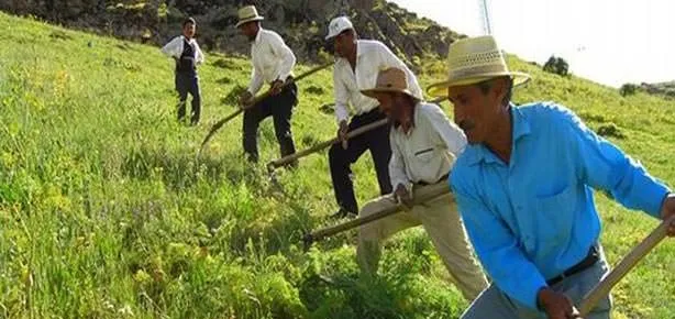 Çiftçiye kredi müjdesi geldi