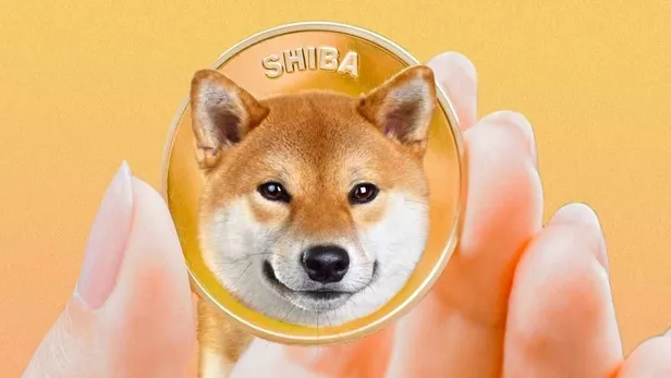 shibacoin-robinhood-listelenecek-mi-shiba-robinhoodda-ne-zaman-listelenecek-shiba-robinhood-son-dakika-yorumla-1649766008870.jpg Shiba Robinhood'da ne zaman listelenecek? Shibacoin Robinhood listelenecek mi? Shiba Robinhood son dakika yorumlar!-4