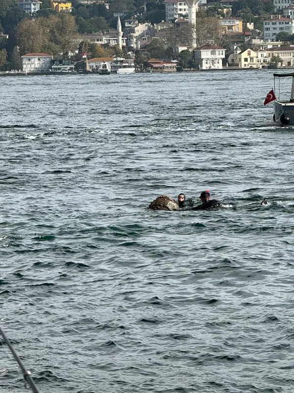 İstanbul Sarıyer'de mayın paniği!-5