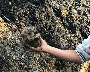 Korkunç olay! Okul bahçesinde kafatası ve kemik parçaları