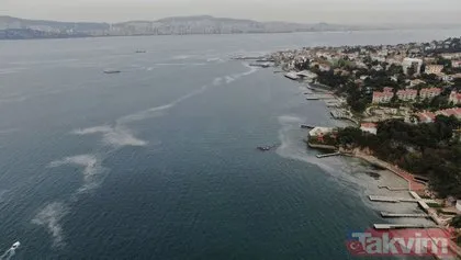 İstanbul’un dibindeki Büyükada sahillerini ’salya’ sardı! Kokudan durulmuyor