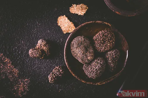 Köpekler buluyor! KİLOSU 72 BİN TL! Siz de toplayıp para kazanabilirsiniz! Türkiye'de 225 kilo bulunuyor! - 15