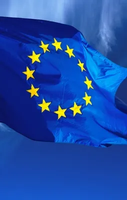 AB sığınmacıları yerleştiremedi