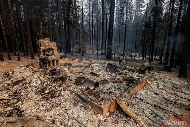 ABD’nin California eyaleti alev alev! 50 binden fazla hanede elektrik yok