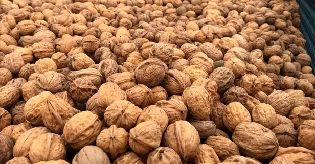 Ceviz kiloya ve cilde iyi geliyor