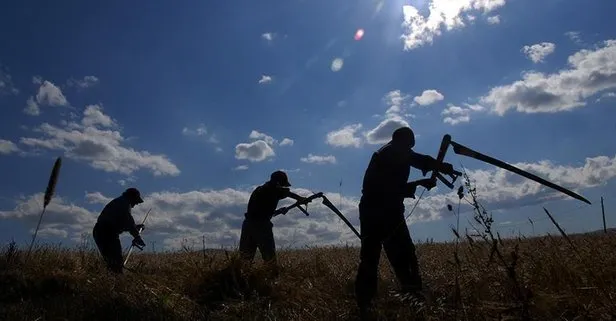tarsim den ureticilere cagri bugday