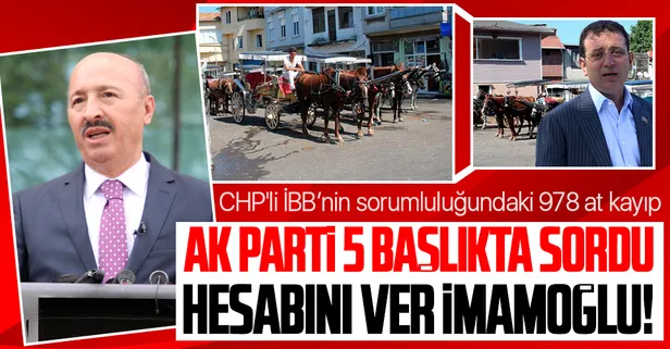CHP'li İBB’nin sorumluluğundaki 978 at kayıp: Sonuna kadar takipçisi olacağız