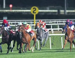 At yarışlarına ‘icar’ modeli