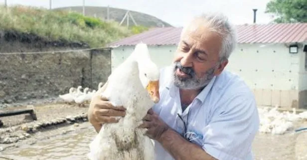 Kapasite 3 5 Kat Artti Takvim