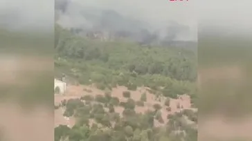 Muğla'da orman yangını!